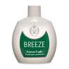 BREEZE DEO SQUEEZE 100 ML 206