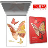 PUPA BUTTERFLY 002